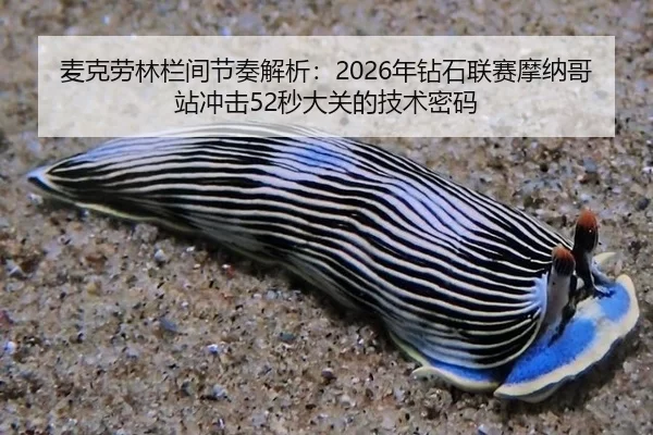 麦克劳林栏间节奏解析：2026年钻石联赛摩纳哥站冲击52秒大关的技术密码